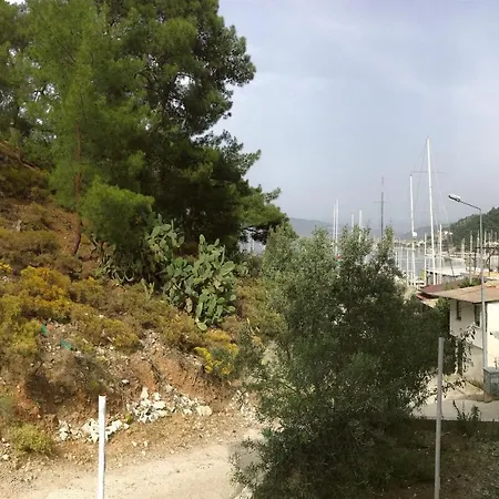 Marina House Appartamento *